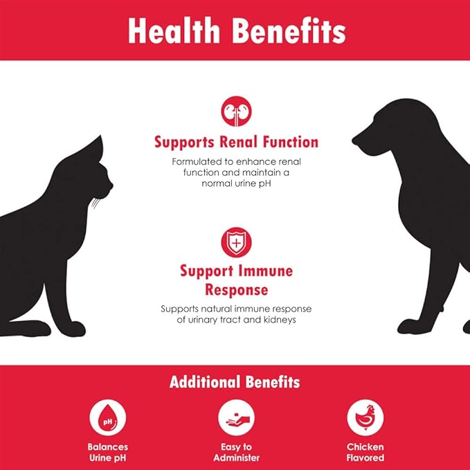 Renakitin Kidney Supplements for Dogs Cats - Contains Chitosan & Calcium Carbonate, Support Optimal Kidney Function, Great Tasting Chicken Flavor, 6.3 oz