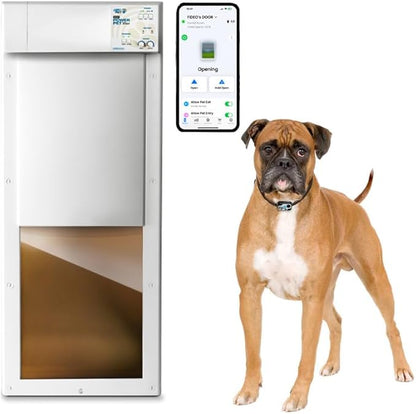 Power Pet WiFi Automatic Electronic Pet Door by High Tech Pet - Pet Operated Dog Door, App Control, 24/7 Scheduling, Secure, Air Tight, for Large Dogs (30-100 lbs.) Door Mount, Easy Install - PX2-WIFI