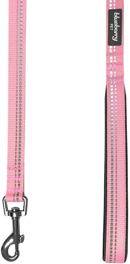 Blueberry Pet 3M Reflective Pastel Color Dog Leash with Soft & Comfortable Handle, 4 ft x 1", Baby Pink, Large, Leashes for Dogs