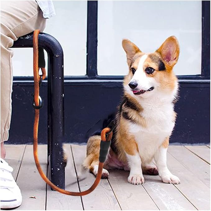 BTINESFUL 3FT Dog Tie Down, Nylon Rope Short Dog Tether Indoor House Leash Training Safety Vehicle Tether for Large Medium Strong Puppy (2/5" *3ft, Orange)