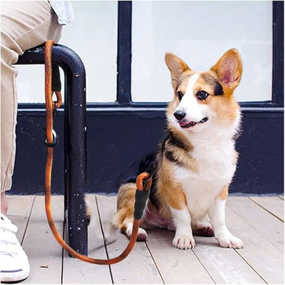 BTINESFUL 3FT Dog Tie Down, Nylon Rope Short Dog Tether Indoor House Leash Training Safety Vehicle Tether for Large Medium Strong Puppy (2/5" *3ft, Orange)