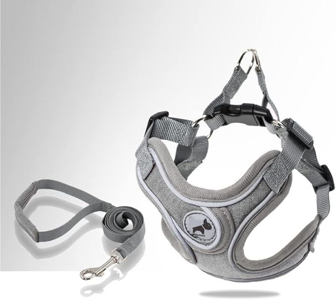 Dog Harness with Leash Set, No Pull Adjustable Step in Dog Collars Harness with Breathable Padded Vest Harness for Small Medium Large Dogs Training and Running(L, Gray)