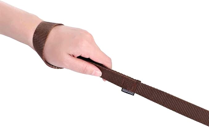 AMAGOOD 6 FT Puppy/ Dog Leash, Strong and Durable Traditional Style Leash with Easy to Use Collar Hook, Great for Small, Medium and Large Dogs (3/4 in x 6 ft(Pack of 1), Brown)
