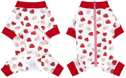 Dog Surgery Recovery Suit, Dog Onesie for Surgery Female Male Dogs, Dogs Pajamas Long Sleeve, Small Dogs Onesie, Abdominal Wound Bandages Surgical Suit, Cat Recovery Suit for Shedding Skin Disease