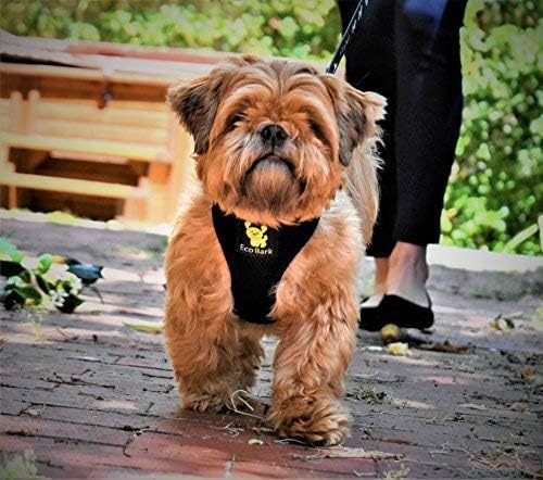 EcoBark Dog Leash - Soft & Reflective Comfort Leashes with Padded Handle - Safe, Strong, & Durable for Small, Medium or Large Dogs (Black)
