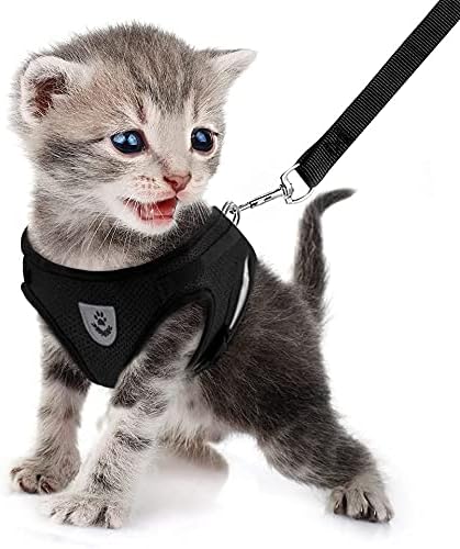 FEimaX Dog Harness and Leash Set for Walking, Soft Mesh Adjustable Easy Control Lightweight Cat Vest Harnesses with Reflective Strips, Escape Proof Small Dogs Cats Vests (Black, Medium)