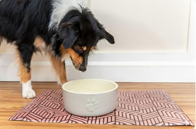 Dog Food Mat - Dog Bowl Mat - Pet Food Mat - Dog Mat for Food and Water - Dog Feeding Mat - Dog Water Bowl Mat - Waterproof Dog Water Mat - UnikLook