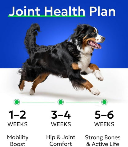 Glucosamine Chondroitin Dog Hip & Joint Supplement - Joint Pain Relief - Hip & Joint Chews for Dogs - Joint Support Large Breed - Senior Doggie Vitamin Pills Joint Health - (240 Treats - Chicken)