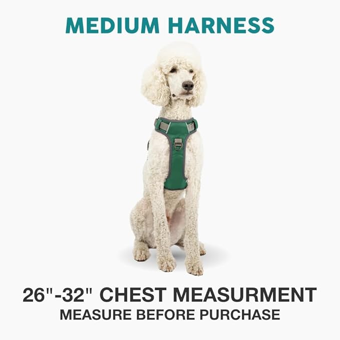 Embark Adventure Medium Dog Harness – No-Pull, Reflective Trim, Military-Grade Nylon, Front Clip with Gel-Lined Handle