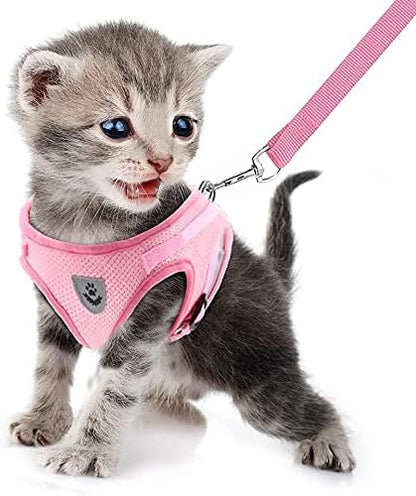FEimaX Dog Harness and Leash Set for Walking, Soft Mesh Adjustable Easy Control Lightweight Cat Vest Harnesses with Reflective Strips, Escape Proof Small Dogs Cats Vests (Pink, Large)