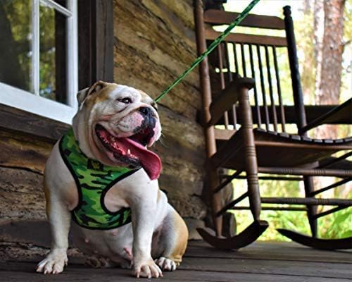 EcoBark Dog Leash - Soft & Reflective Comfort Leashes with Padded Handle - Safe, Strong, & Durable for Small, Medium or Large Dogs (Camo)