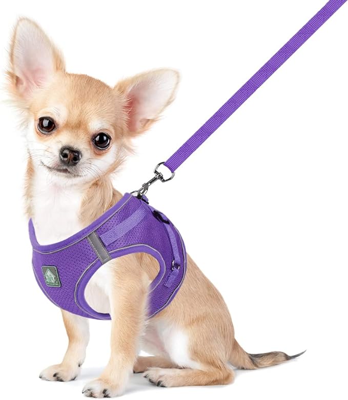 FEimaX Dog Harness and Leash Set, No-Pull Breathable Soft Mesh Puppy Vest Harness Reflective Adjustable Pet Harnesses for Small Medium Dogs and Cats - Outdoor Easy Control for Walking (XL, Purple)