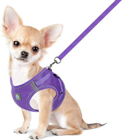 FEimaX Dog Harness and Leash Set, No-Pull Breathable Soft Mesh Puppy Vest Harness Reflective Adjustable Pet Harnesses for Small Medium Dogs and Cats - Outdoor Easy Control for Walking (XL, Purple)