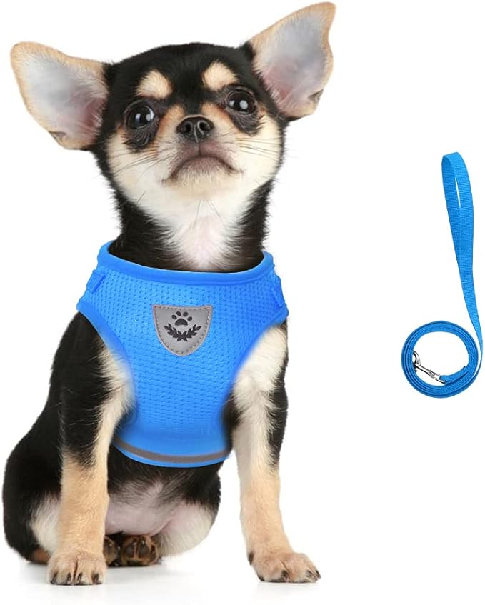 FEimaX Dog Harness and Leash Set for Walking, Soft Mesh Adjustable Easy Control Lightweight Cat Vest Harnesses with Reflective Strips, Escape Proof Small Dogs Cats Vests (Azure, Small)