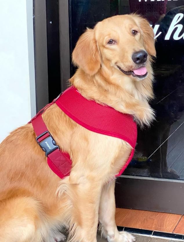 Puppia Soft Dog Harness, Wine, Large (PDCF-AC30-WN-L)