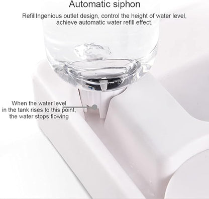 Dog and Water Dispenser Small and Medium Sized Dog and Food Basin Bowl Automatic Water Dispenser Pet Products