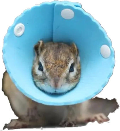 Squirrel Elizabeth Collar, Sugar Glider Protection Cone Neck Recovery Collar, Elizabeth Anti-Water E-Collar Cone for Small Animals, Soft Pet Neck Cone for Squirrel (for Chipmunk/Sugar Glider)