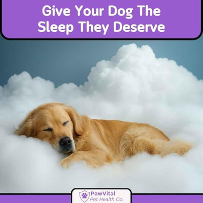 Melatonin Calming Chews for Dogs – Natural Sleep Aid & Anxiety Relief – Dog Calming Treats with Chamomile, Valerian Root, Ashwagandha & Theanine – 90 Soft Chews for Small & Large Breeds