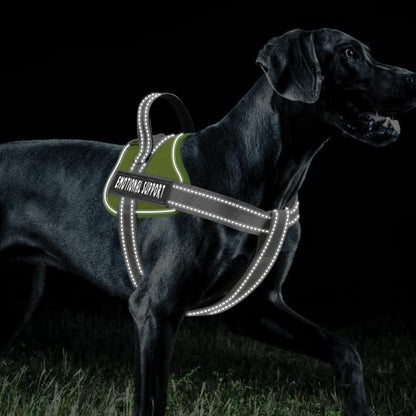 voopet Emotional Support Dog Harness, Professional Service Dog Vest Harness for Small Medium Large Dogs, Reflective Breathable and Adjustable No Pull/Choke ESA Essential Harness