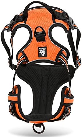 Creation Core Reflective Nylon Dog Harness and Training Leash Set Padded Durable Adjustable, Orange S