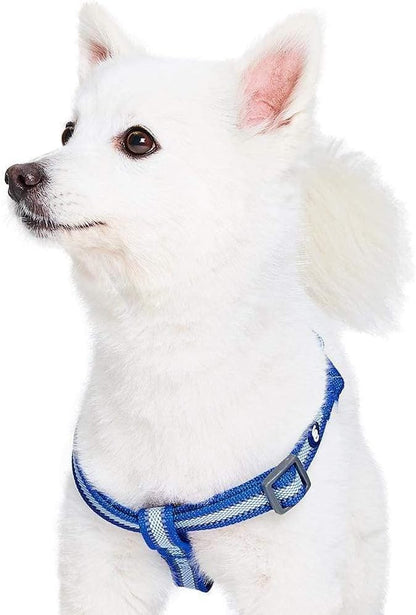 Blueberry Pet Essentials Reflective Back to Basics Matching Dog Harness and Leash Set, Navy Blue, Adjustable Harness with 4 ft Leash for Large Dogs