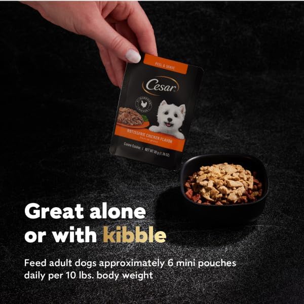 Cesar Filets in Gravy Wet Dog Food Rotisserie Chicken Flavor, Wet Food for Dogs, 1.76 oz. Mini-Pouches, 20 Count