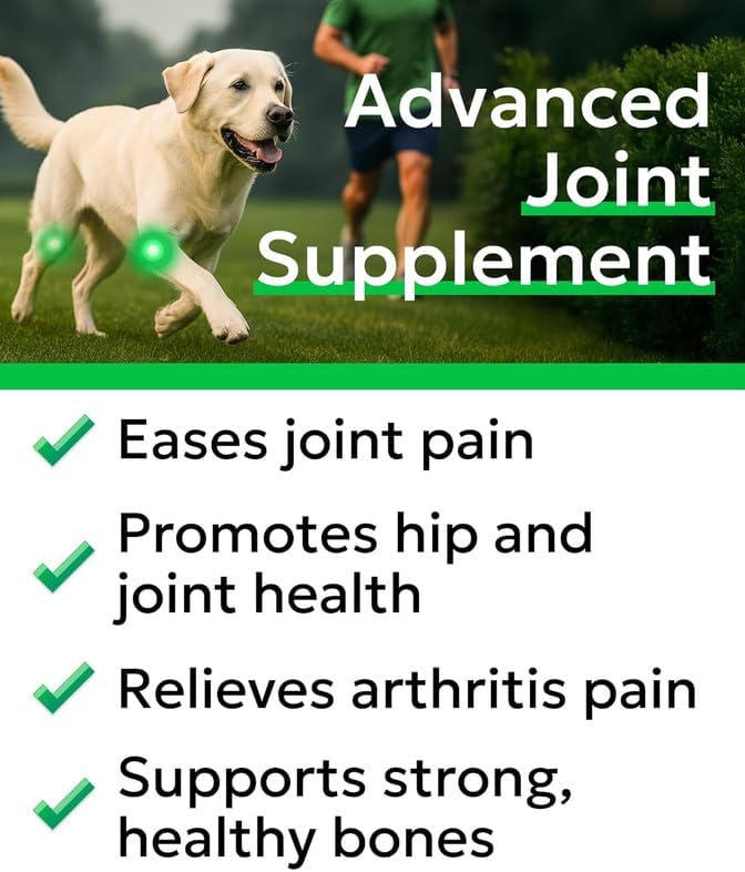 Glucosamine Chondroitin Dog Hip & Joint Supplement - Joint Pain Relief - Hip & Joint Chews for Dogs - Joint Support Large Breed - Senior Doggie Vitamin Pills Joint Health - (240 Treats - Chicken)