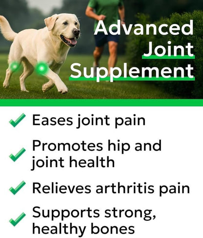 Glucosamine Chondroitin Dog Hip & Joint Supplement - Joint Pain Relief - Hip & Joint Chews for Dogs - Joint Support Large Breed - Senior Doggie Vitamin Pills Joint Health - (240 Treats - Chicken)