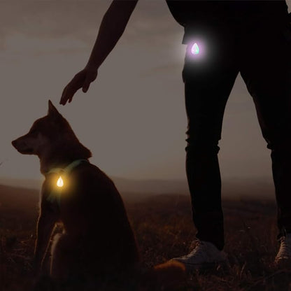 2-Pack Rechargeable Dog Light, Dog Collar Light,Waterproof ,3 Modes LED Dog Safety Lights,Multiple Color Options,Clip On Collar, Leash or Harness，Night Light for Running ,Climbing,Camping or Bike