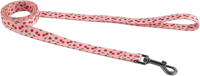 Harness and Leash Set, Floral Pattern, 5ft Matching Leash, No Pull, Easy Wear for Medium Dogs.(M, Pink Cherry)