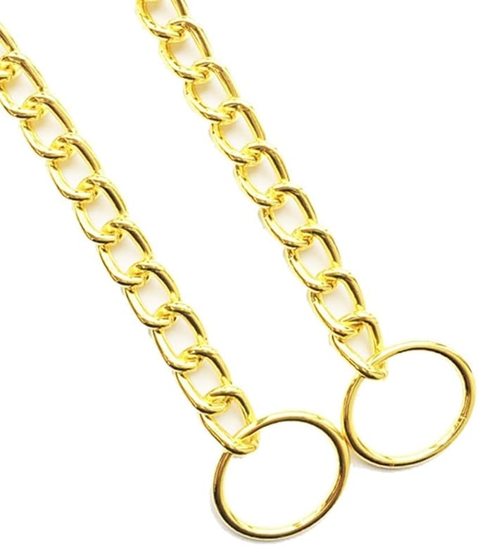 Chain Choke Collar for Dogs, Metal Slip Link Training Heavy Duty Dog Collar Martingale Puppy Collars for XXS XS Small Medium Large Big XL Breed Dogs (Gold, M(Neck Max 18inch) D3.0mm)
