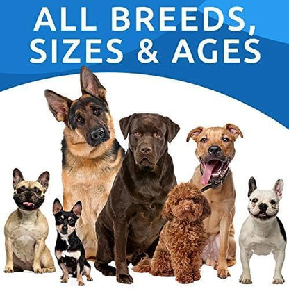 Bark&Spark Dog Probiotics & Digestive Enzymes (Gut Health) Allergy & Itchy Skin - Pet Diarrhea Gas Treatment Upset Stomach Relief, Digestion Health Prebiotic Supplement Dog Treats (240Ct Chicken)