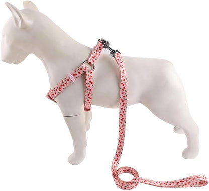 Harness and Leash Set, Floral Pattern, 5ft Matching Leash, No Pull, Easy Wear for Medium Dogs.(M, Pink Cherry)