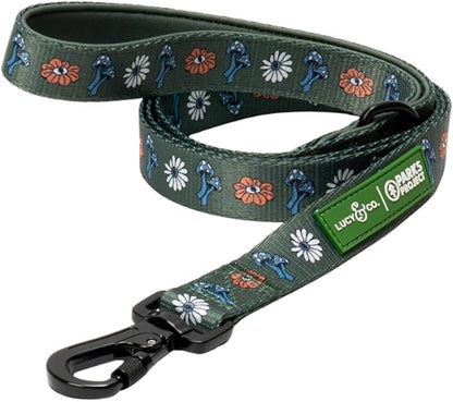 Lucy & Co. x Parks Project Power to the Parks Dog Leash, Durable Matching Dog Lead with Heavy Duty Hardware, Small