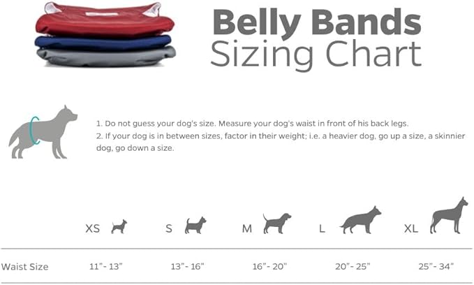 Pet Parents® Washable Belly Bands for Male Dogs (3pack) + Extendrs® of Durable Dog Diapers Male, Premium Male Dog Diapers & Dog Wraps (X-Large, Kingsmen)