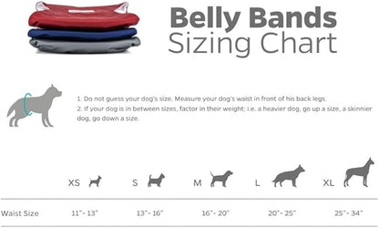 Pet Parents® Washable Belly Bands for Male Dogs (3pack) + Extendrs® of Durable Dog Diapers Male, Premium Male Dog Diapers & Dog Wraps (Medium, Kingsmen)