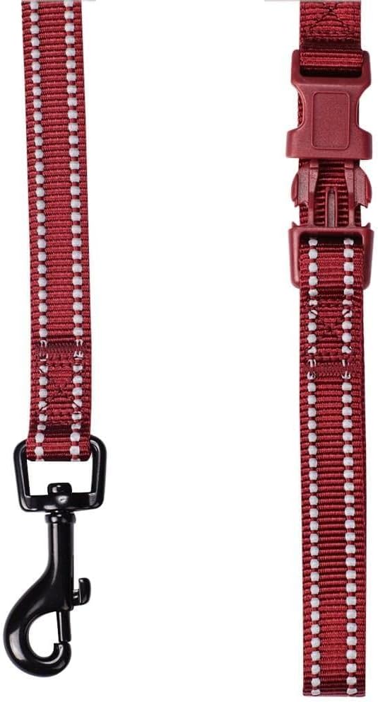 Blueberry Pet Essentials Durable 3M Reflective Classic Dog Leash 4 ft x 1", Marsala Red, Large, Leashes for Dogs
