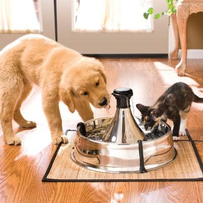 I LOVE MY PETS LLC Urinary Tract Support for Dogs - PET Urinary Tract Support - Dogs and Cats - UTI Relief Complex - Cranberry for Dogs UTI - 180 Treats (2 Bottles)