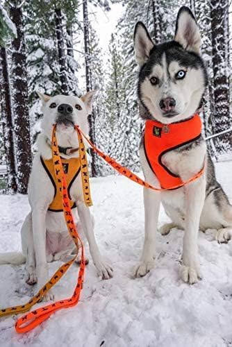EcoBark Dog Leash - Soft & Reflective Comfort Training Leashes with Padded Handle - Strong Durable Heavy Duty - Training and Pulling for Small, Medium or Large Dogs (Orange)