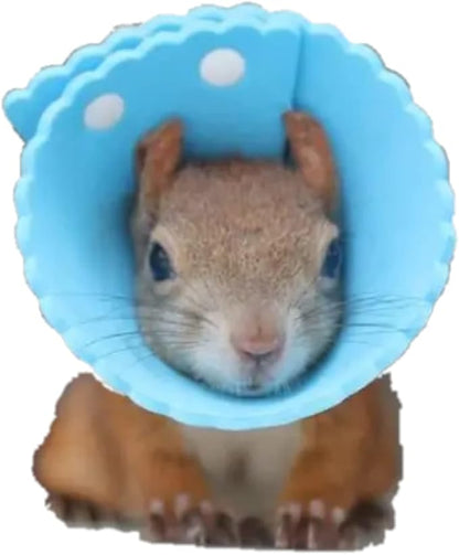 Squirrel Elizabeth Collar, Sugar Glider Protection Cone Neck Recovery Collar, Elizabeth Anti-Water Cone for Small Animals, Soft Pet Neck Cone for Squirrel (for Eurasian Red/Russian Red Tree Squirrel)