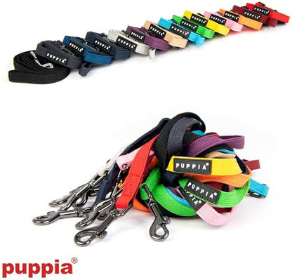 Puppia Two Tone Dog Lead Strong Durable Comfortable Grip Walking Training Leash for Small & Medium Dog, LT.Grey, Small