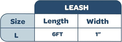 Best Pet Supplies Voyager Reflective Dog Leash or Collar with Neoprene Handle, for Small, Medium, and Large Breed Puppies, Cute and Heavy Duty for Walking, Running and Training - Red (Leash), L