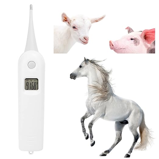 Tiiyee Pet Thermometer, Fast Digital Veterinary Thermometer Electronic Accurate Temperature Readings with Waterproof Flexible Round Tip for Cats Dogs Horse Cattle Pigs Sheep Livestock Fever Detection