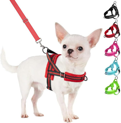 SlowTon No Pull Small Dog Harness and Leash Set, Puppy Soft Vest Harness Neck & Chest Adjustable, Reflective Lightweight Harness & Anti-Twist Pet Lead Combo for Small Medium Dogs (R-Front Clip,XS)