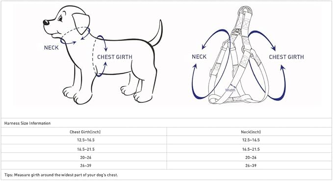 Blueberry Pet Essentials Reflective Back to Basics Matching Dog Harness and Leash Set, Navy Blue, Adjustable Harness with 5 ft Leash for Small Dogs