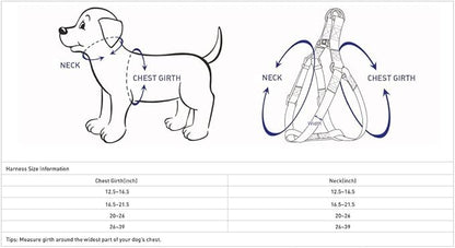 Blueberry Pet Essentials Reflective Back to Basics Matching Dog Harness and Leash Set, Rouge Red, Adjustable Harness with 4 ft Leash for Large Dogs