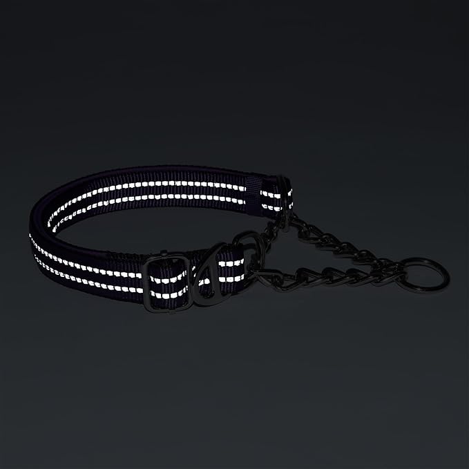 Martingale Collar with Chain，Stainless Steel Chain for Dogs, No Pull Slip Cinch Choker Choke Collar Training Heavy Duty Dog Collar for Small Medium Large Pet Boy Male Dog