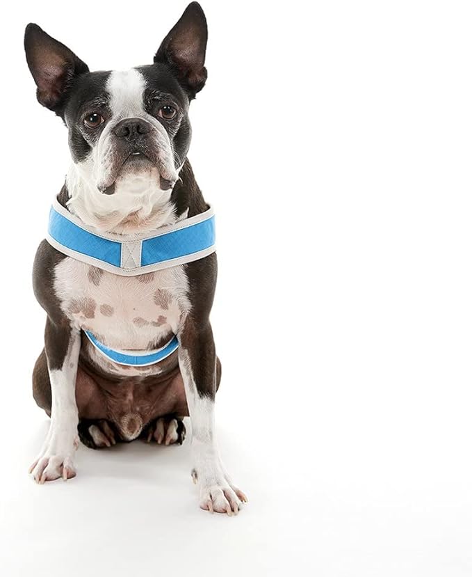 Gooby Simple Step in III Harness - Blue, Large - Small Dog Harness with Scratch Resistant Outer Vest - Soft Inner Mesh Harness for Small, Medium Dogs