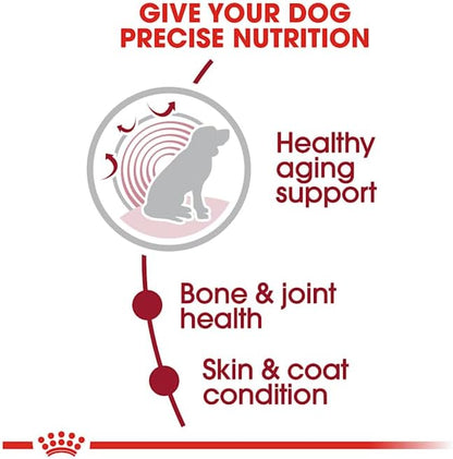 Royal Canin Size Health Nutrition Medium Aging 10+ Senior Dry Dog Food, 30 lb Bag
