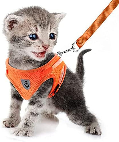 FEimaX Dog Harness and Leash Set for Walking, Soft Mesh Adjustable Easy Control Lightweight Cat Vest Harnesses with Reflective Strips, Escape Proof Small Dogs Cats Vests (Orange, Large)